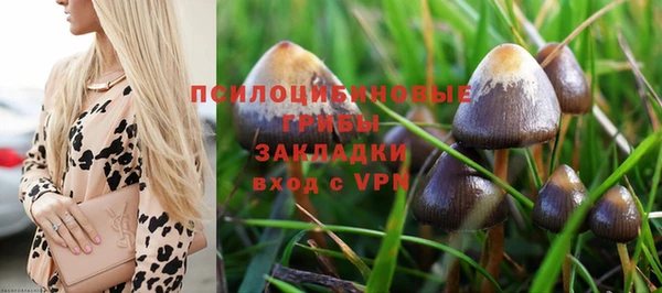 гидра Абинск